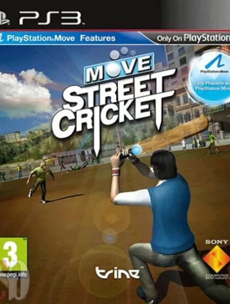 Move Street Cricket
