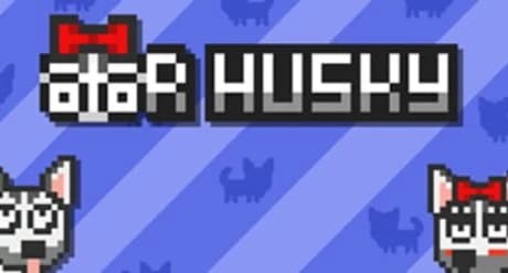 Mr Husky
