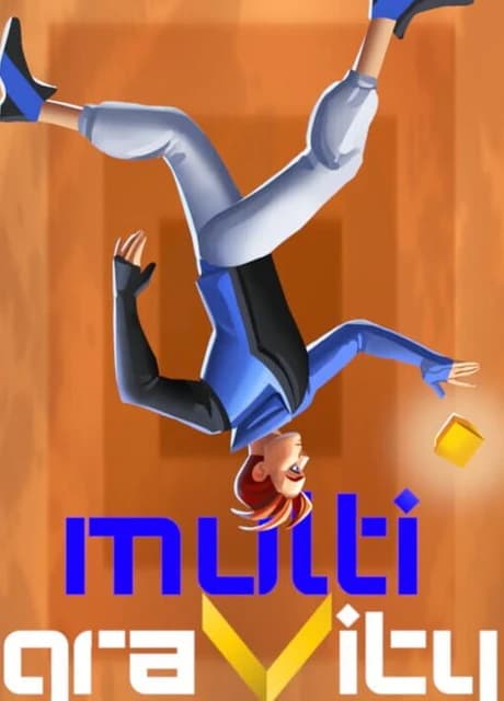 Multigravity