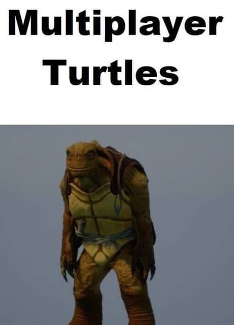 Multiplayer Turtles