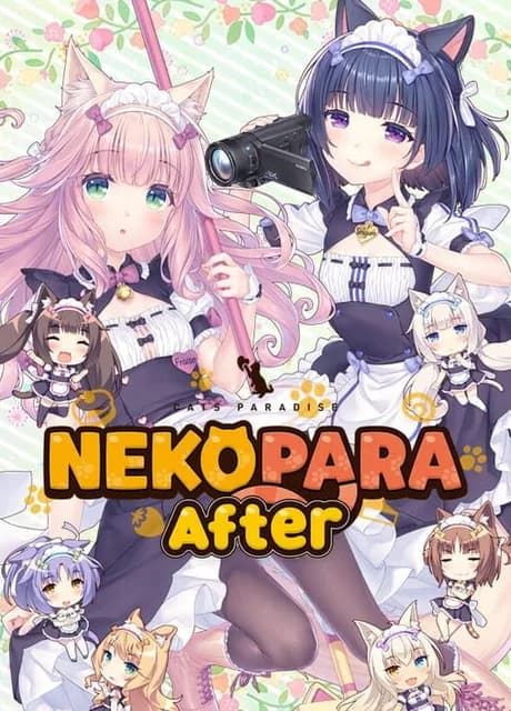 Nekopara After