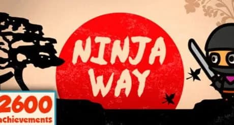 Ninja Way