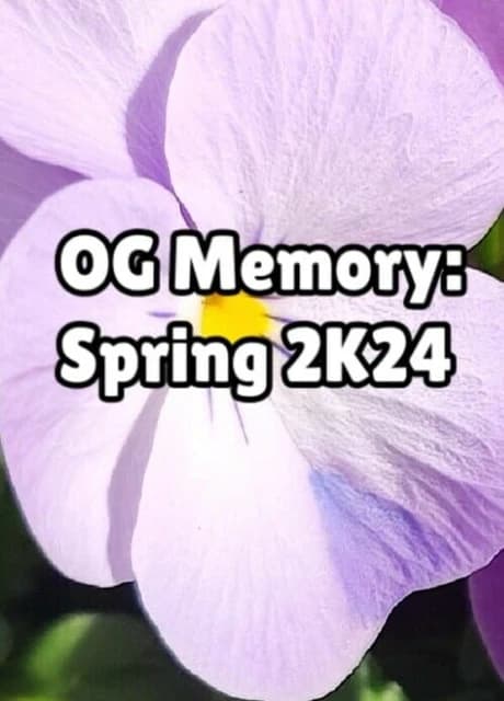 OG Memory: Spring 2K24