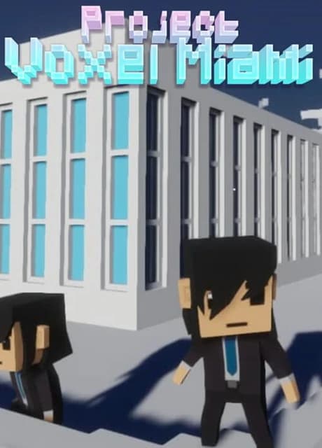 Project Voxel Miami