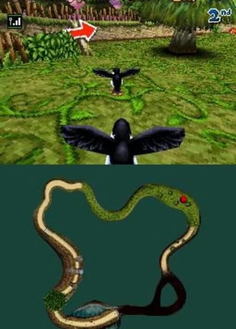 Puffins: Let's Race!