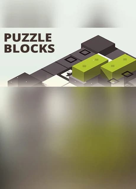 Puzzle Blocks