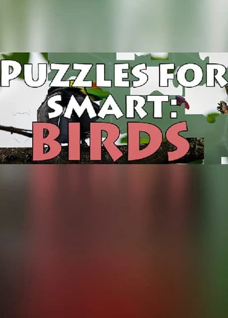 Puzzles for Smart: Birds
