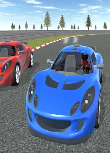 Rally Drift Cars