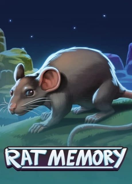 Rat Memory