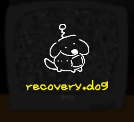 Recovery Dog