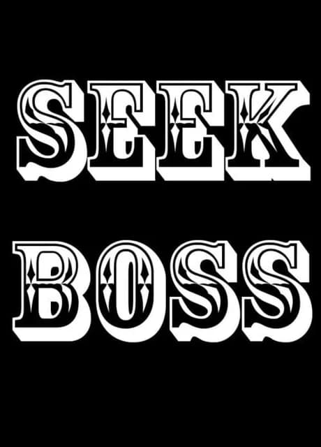 Seekboss