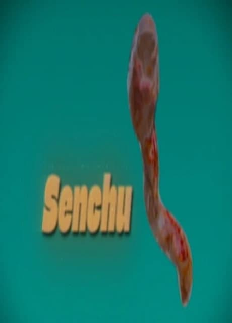 Senchu