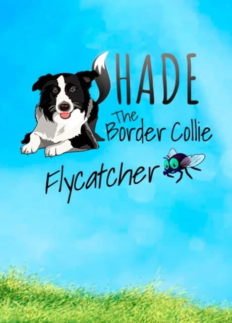 Shade: The Border Collie Flycatcher