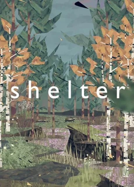 Shelter