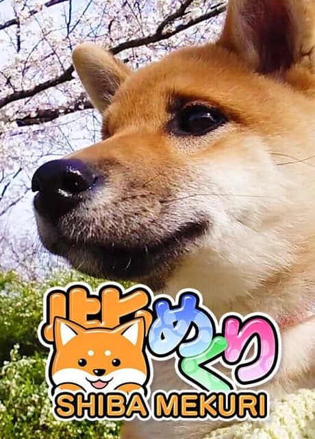 Shiba Mekuri