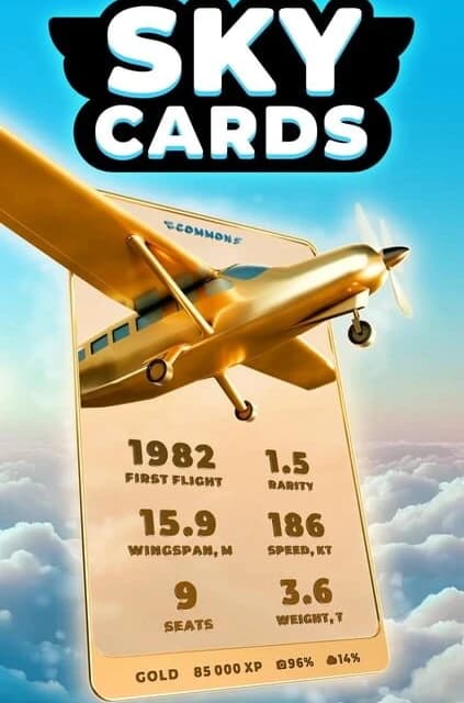 Skycards