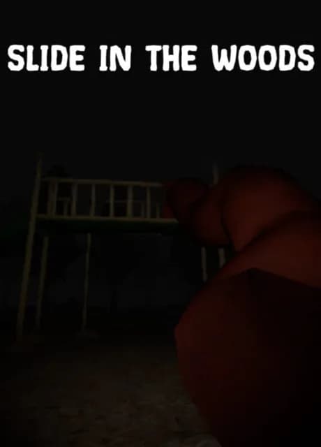Slide in the Woods