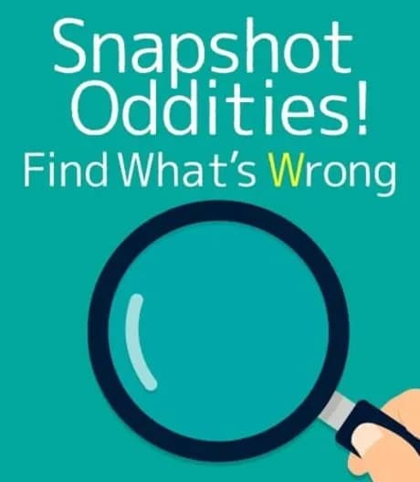 Snapshot Oddities! Find What's Wrong