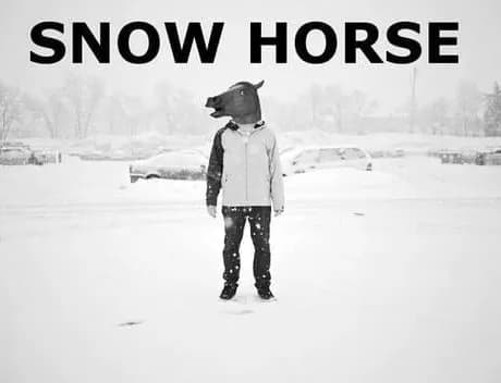 Snow Horse