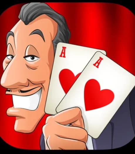 Solitaire Perfect Match