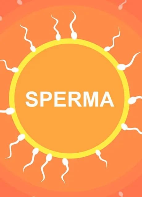Sperma