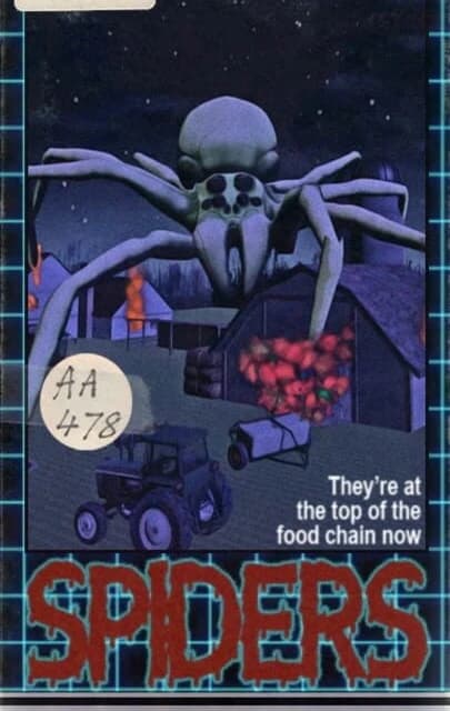 Spiders