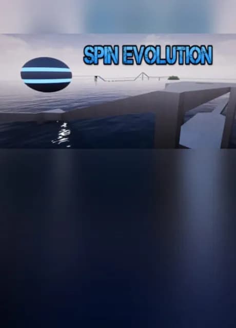 Spin Evolution
