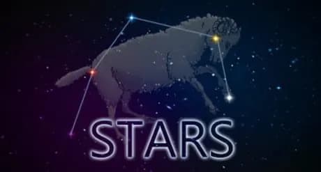 Stars