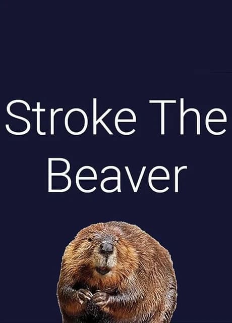 Stroke The Beaver