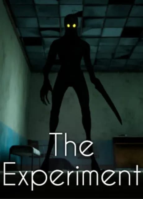 The Experiment