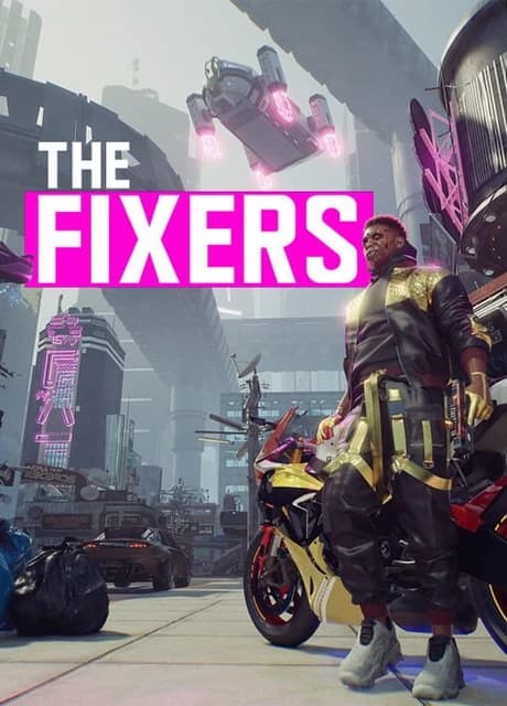 The Fixers