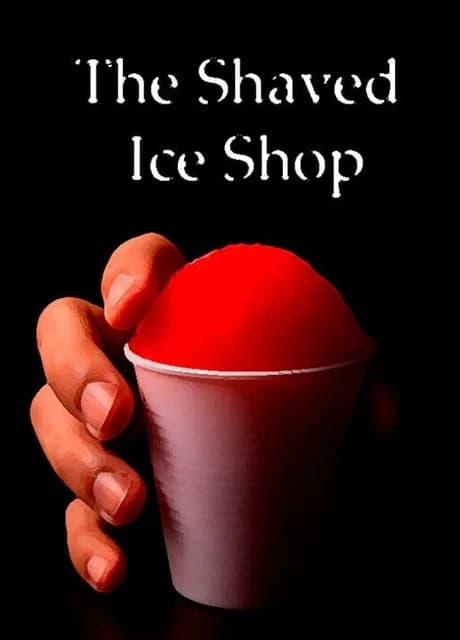 The Shaved Ice Shop