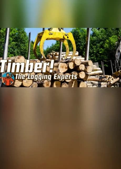 Timber! The Logging Experts