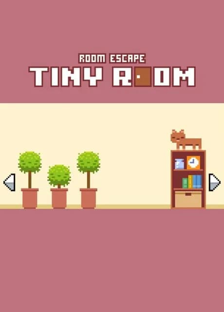 Tiny Room