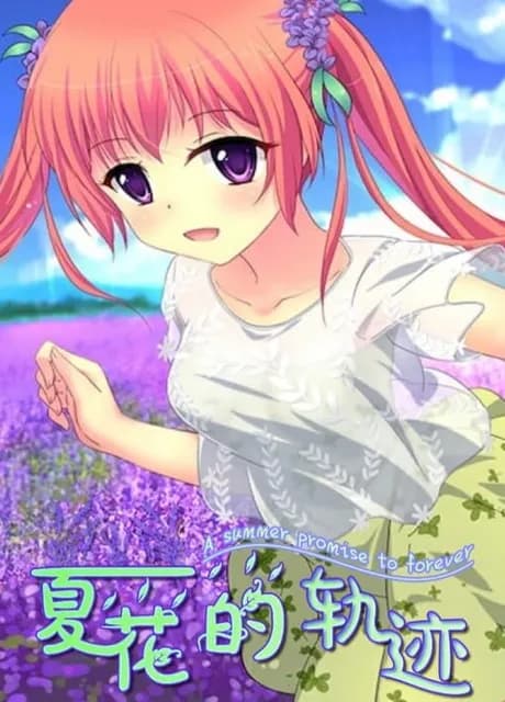 Trajectory of Summer Flower