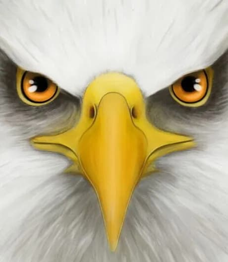 Ultimate Bird Simulator