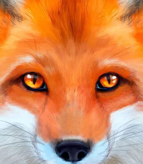 Ultimate Fox Simulator