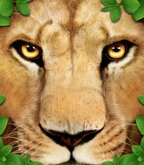 Ultimate Lion Simulator
