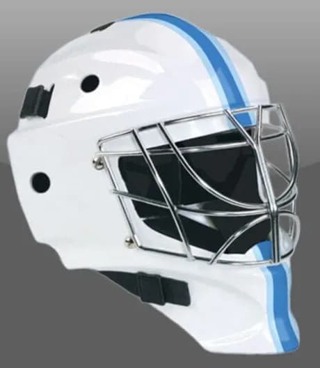 Virtual Goaltender