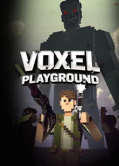 Voxel Playground