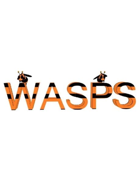 Wasps