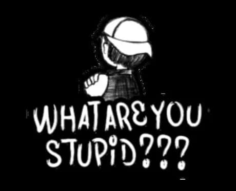 What Are You Stupid