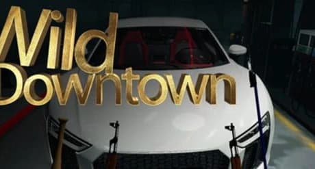 Wild Downtown