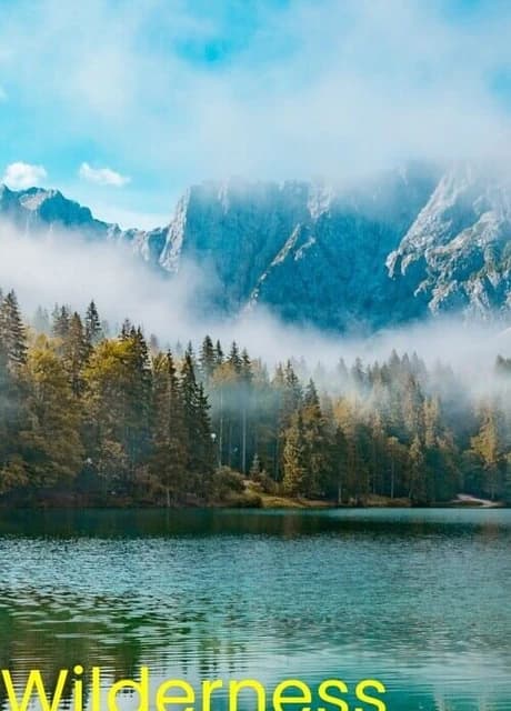 Wilderness