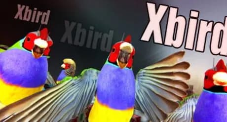 Xbird
