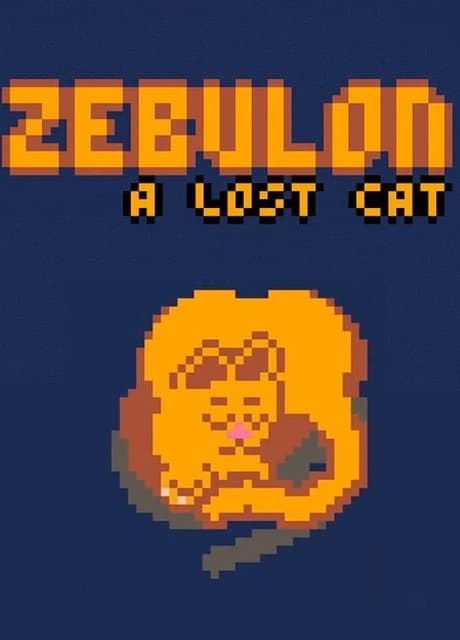 Zebulon: A Lost Cat