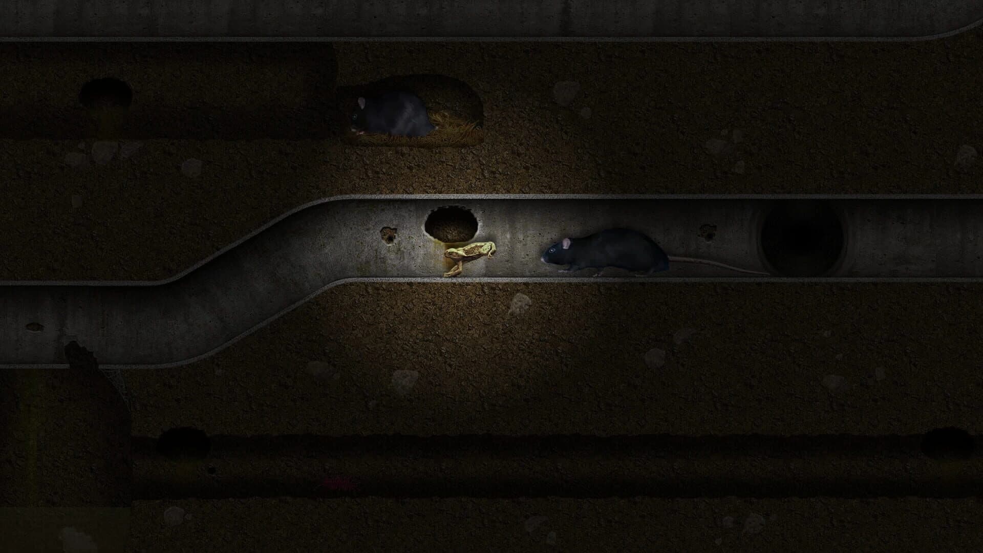 A toad well travelled screenshot 3