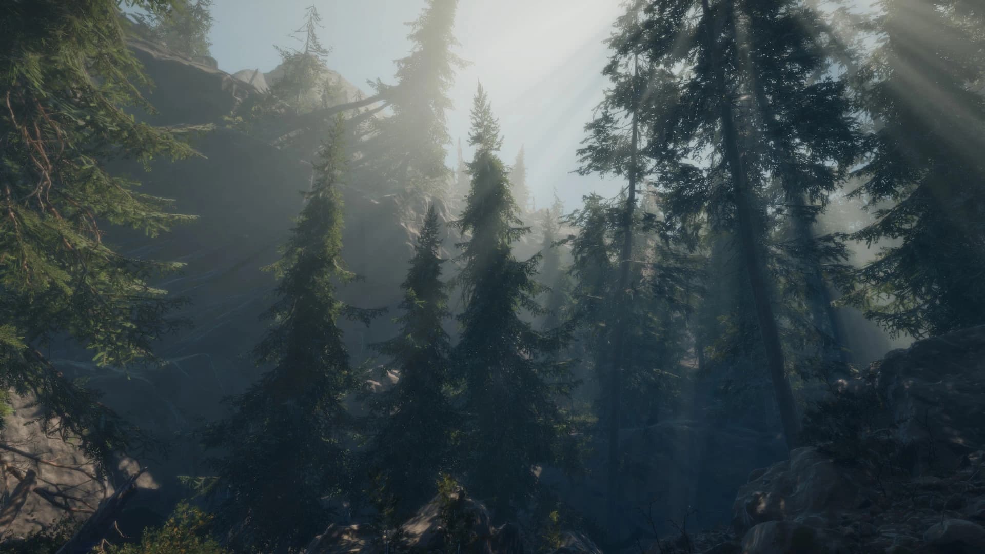 A Walk in the Woods screenshot 5