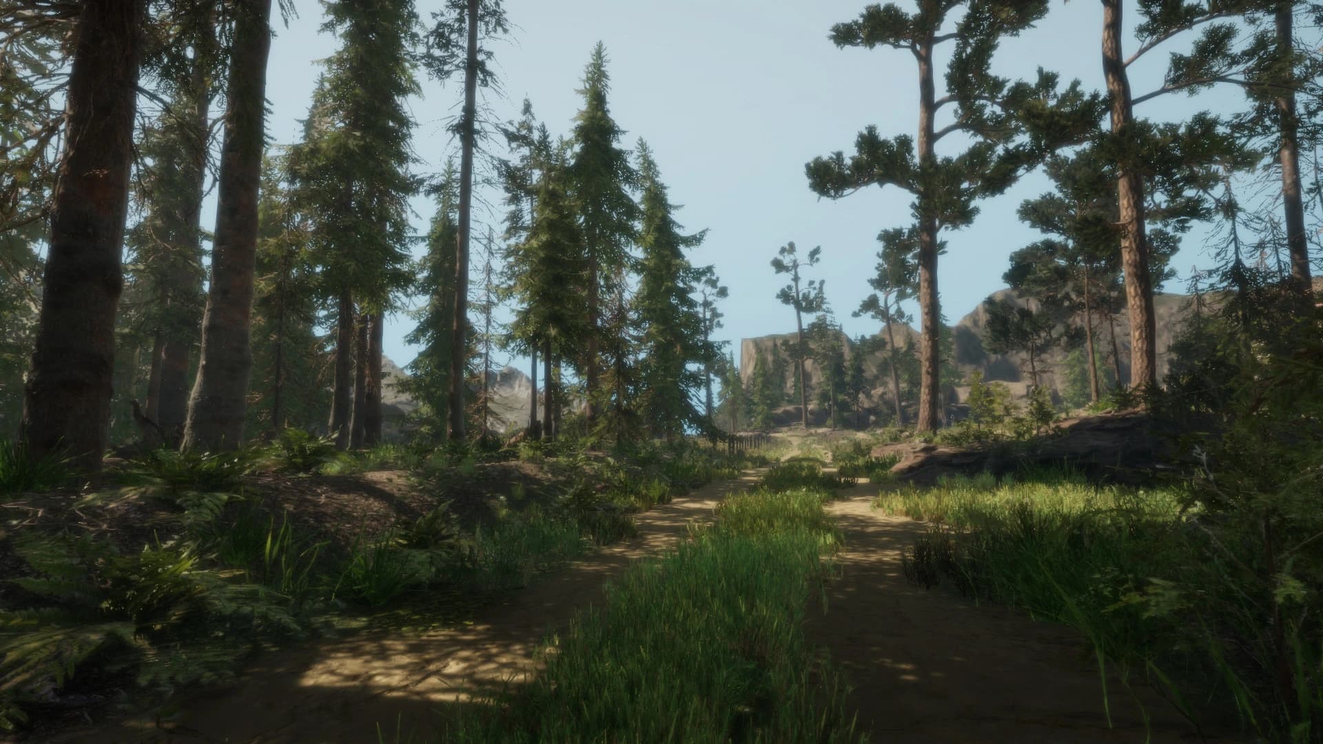 A Walk in the Woods screenshot 2