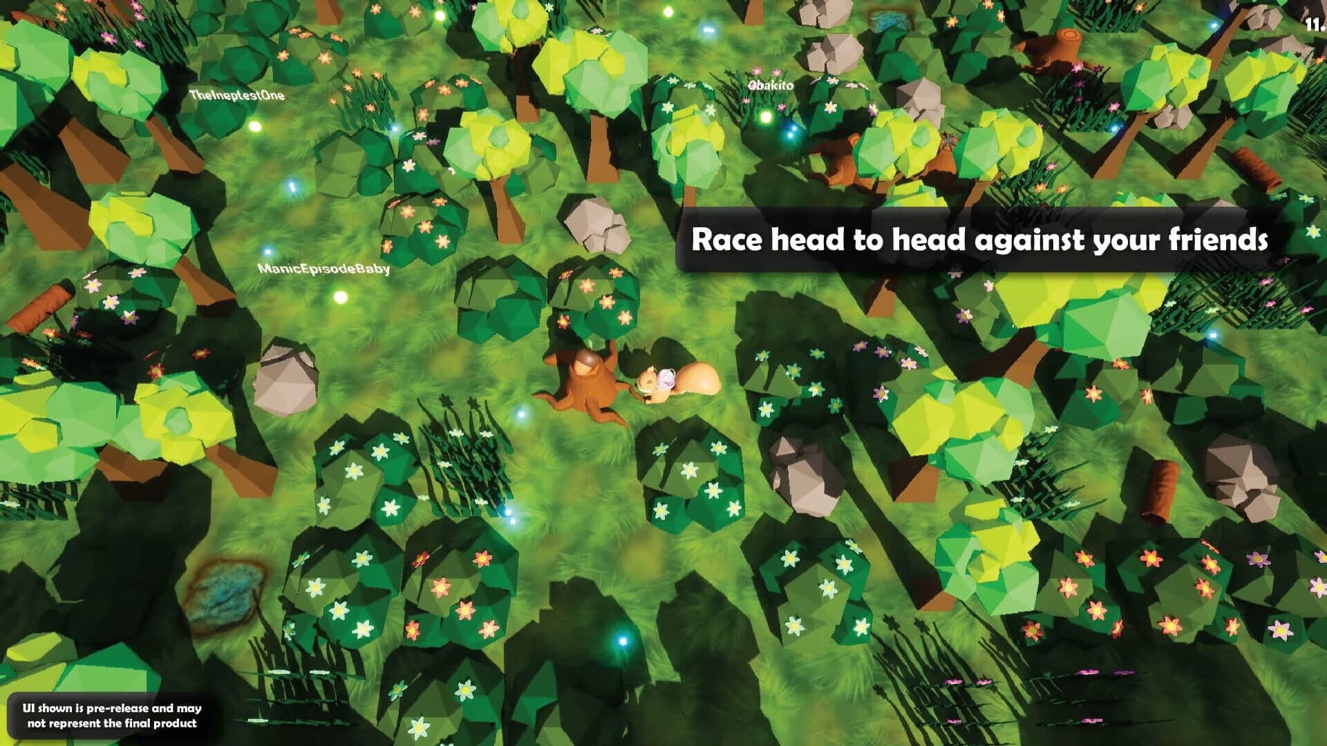 Acorn Hunt screenshot 4